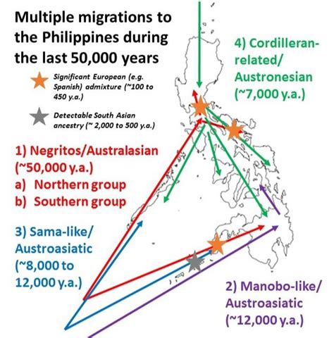 filipino ancestry dna|Genetic studies on Filipinos .